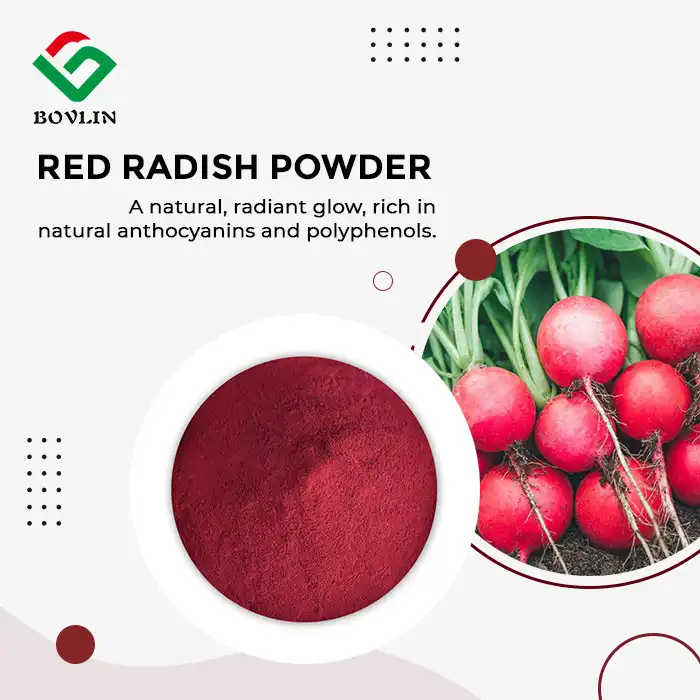 Red Radish Powder Red Radish Powder